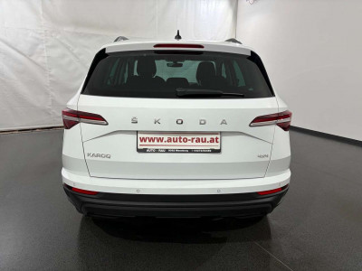 Skoda Karoq Gebrauchtwagen