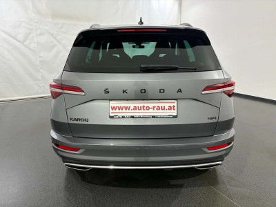Skoda Karoq Gebrauchtwagen
