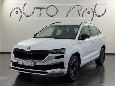 Skoda Karoq Gebrauchtwagen