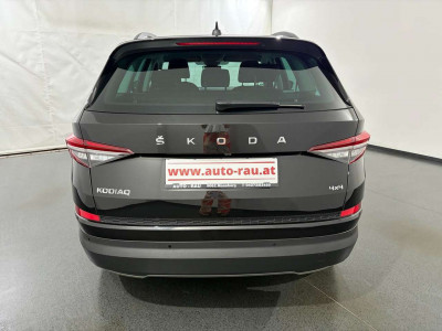 Skoda Kodiaq Gebrauchtwagen Skoda Kodiaq Gebrauchtwagen
