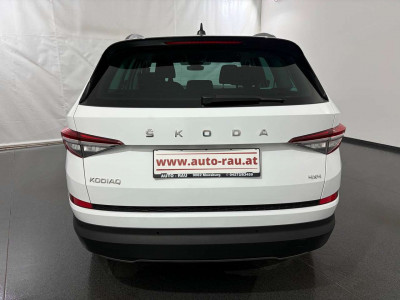Skoda Kodiaq Gebrauchtwagen Skoda Kodiaq Gebrauchtwagen
