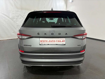 Skoda Kodiaq Gebrauchtwagen Skoda Kodiaq Gebrauchtwagen
