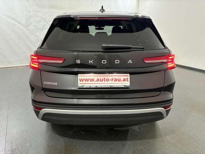 Skoda Kodiaq Gebrauchtwagen Skoda Kodiaq Gebrauchtwagen