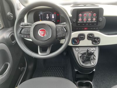 Fiat Panda Neuwagen