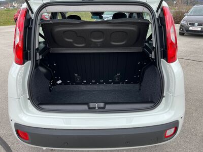 Fiat Panda Vorführwagen