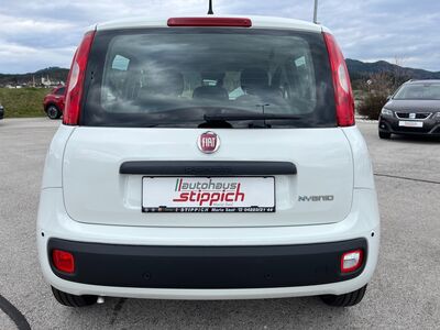 Fiat Panda Vorführwagen