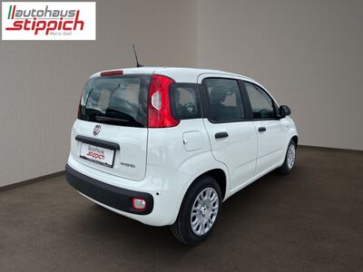 Fiat Panda Vorführwagen