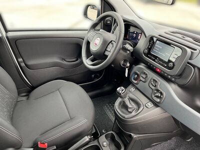 Fiat Panda Vorführwagen