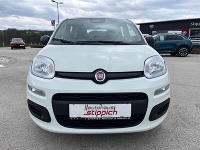 Fiat Panda Vorführwagen