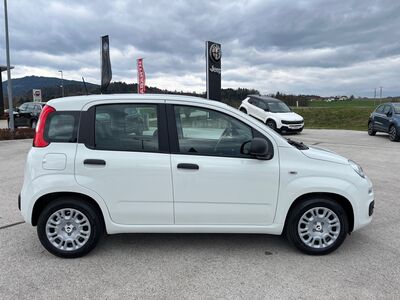 Fiat Panda Vorführwagen
