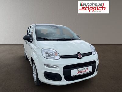 Fiat Panda Neuwagen