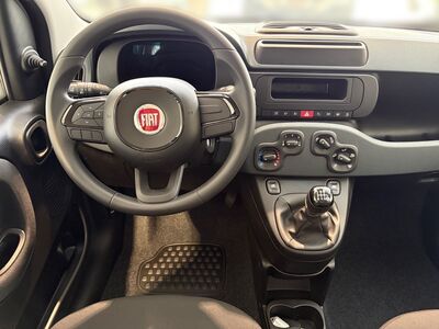 Fiat Panda Neuwagen