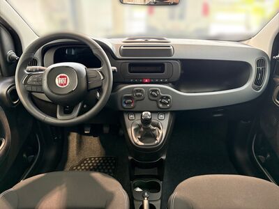 Fiat Panda Neuwagen