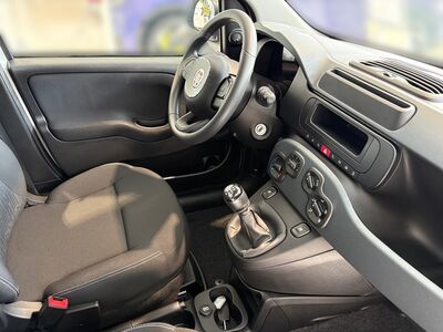 Fiat Panda Neuwagen