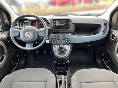 Fiat Panda Vorführwagen