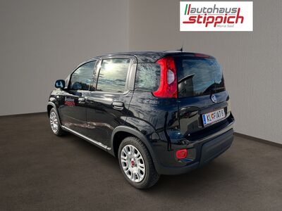 Fiat Panda Vorführwagen
