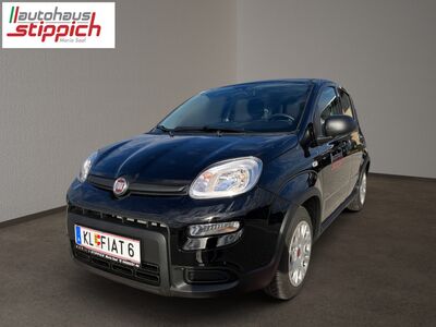 Fiat Panda Vorführwagen