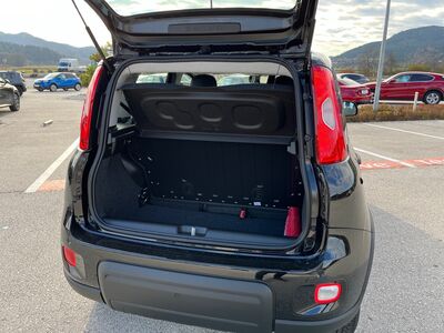 Fiat Panda Vorführwagen