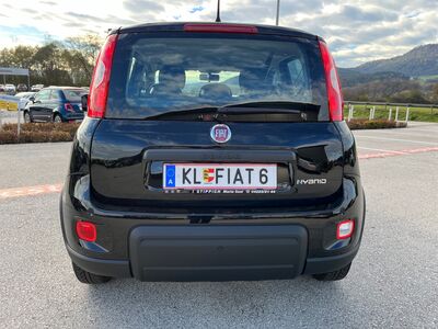Fiat Panda Vorführwagen