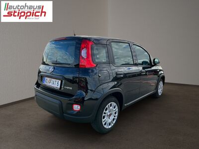 Fiat Panda Vorführwagen