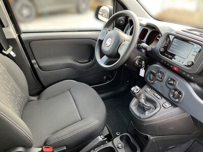 Fiat Panda Vorführwagen