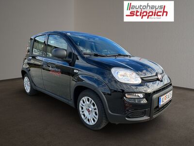 Fiat Panda Vorführwagen