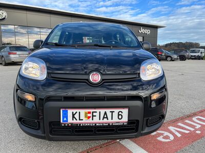 Fiat Panda Vorführwagen