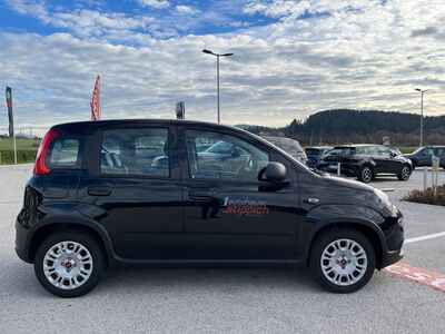 Fiat Panda Vorführwagen