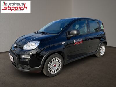 Fiat Panda Vorführwagen