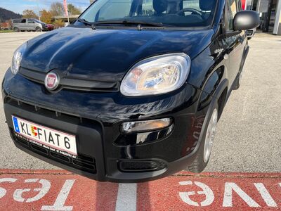 Fiat Panda Vorführwagen