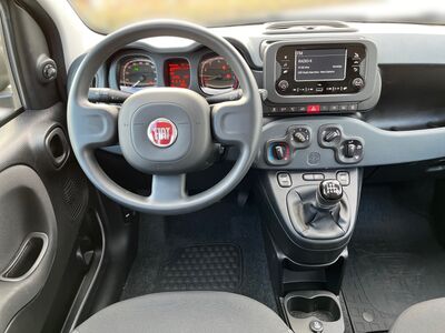 Fiat Panda Vorführwagen
