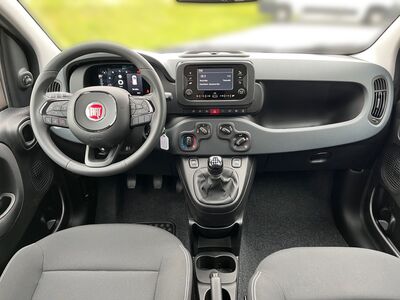Fiat Panda Vorführwagen