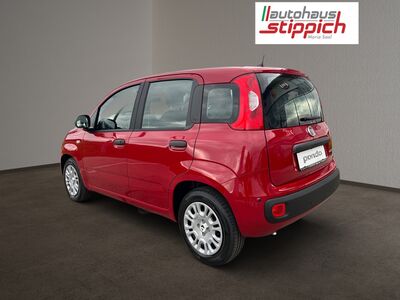 Fiat Panda Vorführwagen