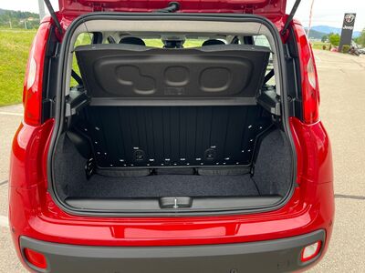 Fiat Panda Vorführwagen