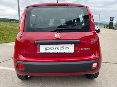 Fiat Panda Vorführwagen