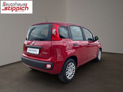 Fiat Panda Vorführwagen