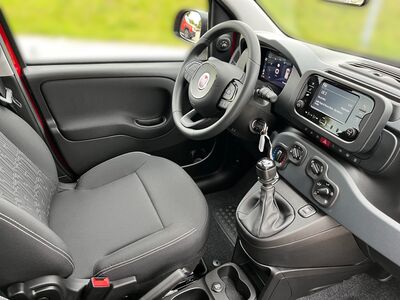 Fiat Panda Vorführwagen