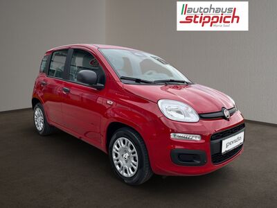 Fiat Panda Vorführwagen