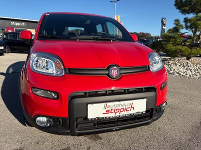 Fiat Panda Gebrauchtwagen Fiat Panda Gebrauchtwagen