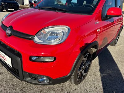 Fiat Panda Gebrauchtwagen Fiat Panda Gebrauchtwagen
