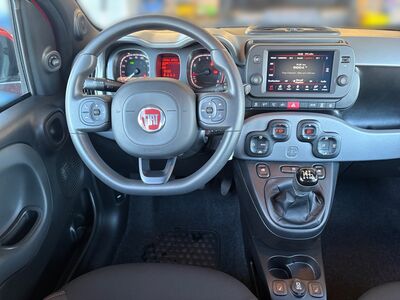 Fiat Panda Gebrauchtwagen Fiat Panda Gebrauchtwagen