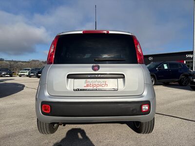 Fiat Panda Gebrauchtwagen Fiat Panda Gebrauchtwagen