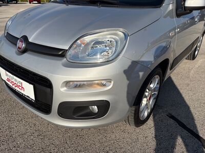 Fiat Panda Gebrauchtwagen Fiat Panda Gebrauchtwagen