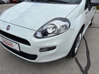 Fiat Punto Gebrauchtwagen