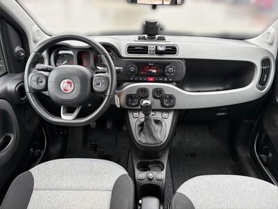 Fiat Panda Gebrauchtwagen Fiat Panda Gebrauchtwagen