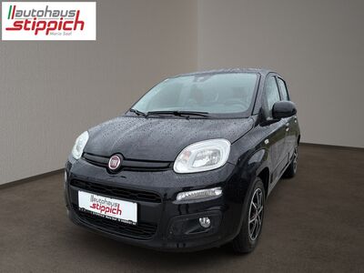 Fiat Panda Gebrauchtwagen Fiat Panda Gebrauchtwagen