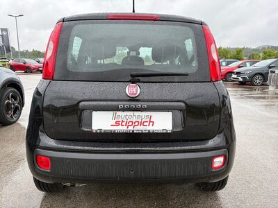 Fiat Panda Gebrauchtwagen Fiat Panda Gebrauchtwagen