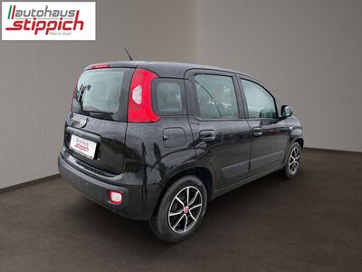 Fiat Panda Gebrauchtwagen Fiat Panda Gebrauchtwagen