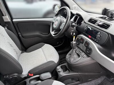 Fiat Panda Gebrauchtwagen Fiat Panda Gebrauchtwagen