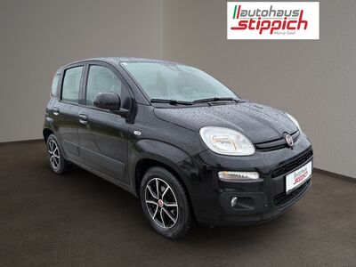Fiat Panda Gebrauchtwagen Fiat Panda Gebrauchtwagen